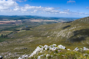 View towards sea from summit of Phillipskop
