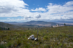 View towards Caledon, Steenboksberg and Riviersonderend Mts