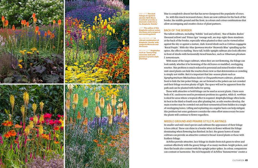 Kniphofia The Complete Guide sample cultivation page