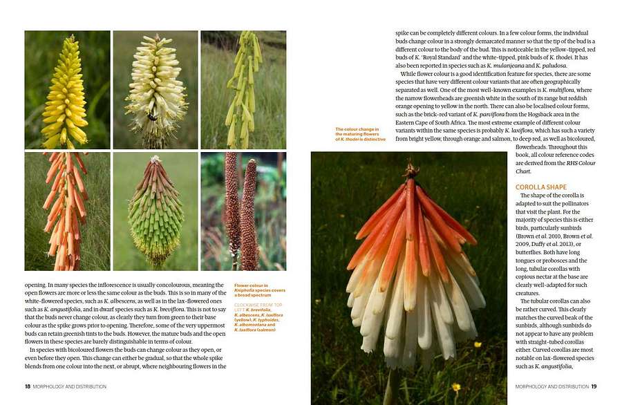 Kniphofia The Complete Guide sample morphology page