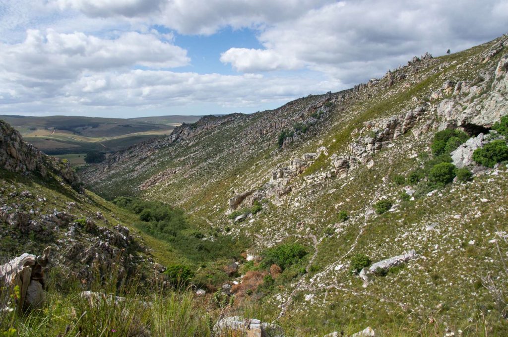Valley leading to Phillipskop Cave and waterfall