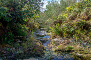 Mountain stream path to Nerine Pool