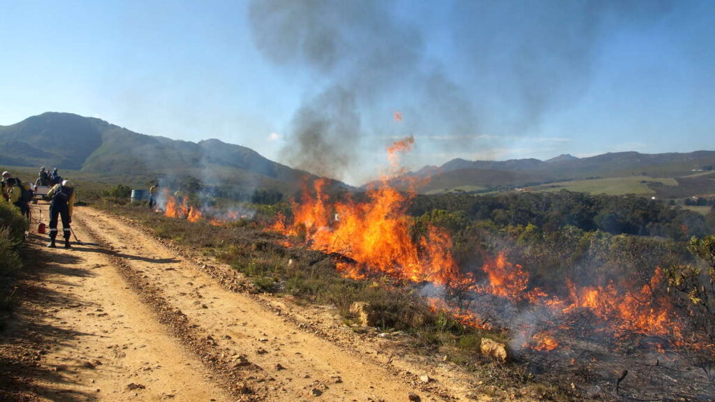 Starting the controlled burn